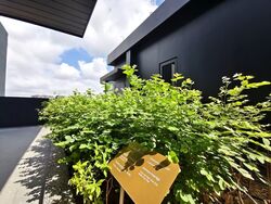 Claydence (D15), Apartment #572259271